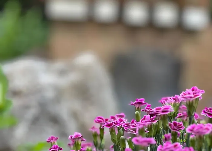 Venice Rodio 度假居
